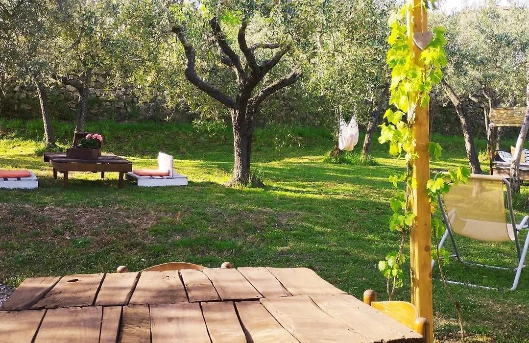 La Casa Tra Gli Ulivi-1